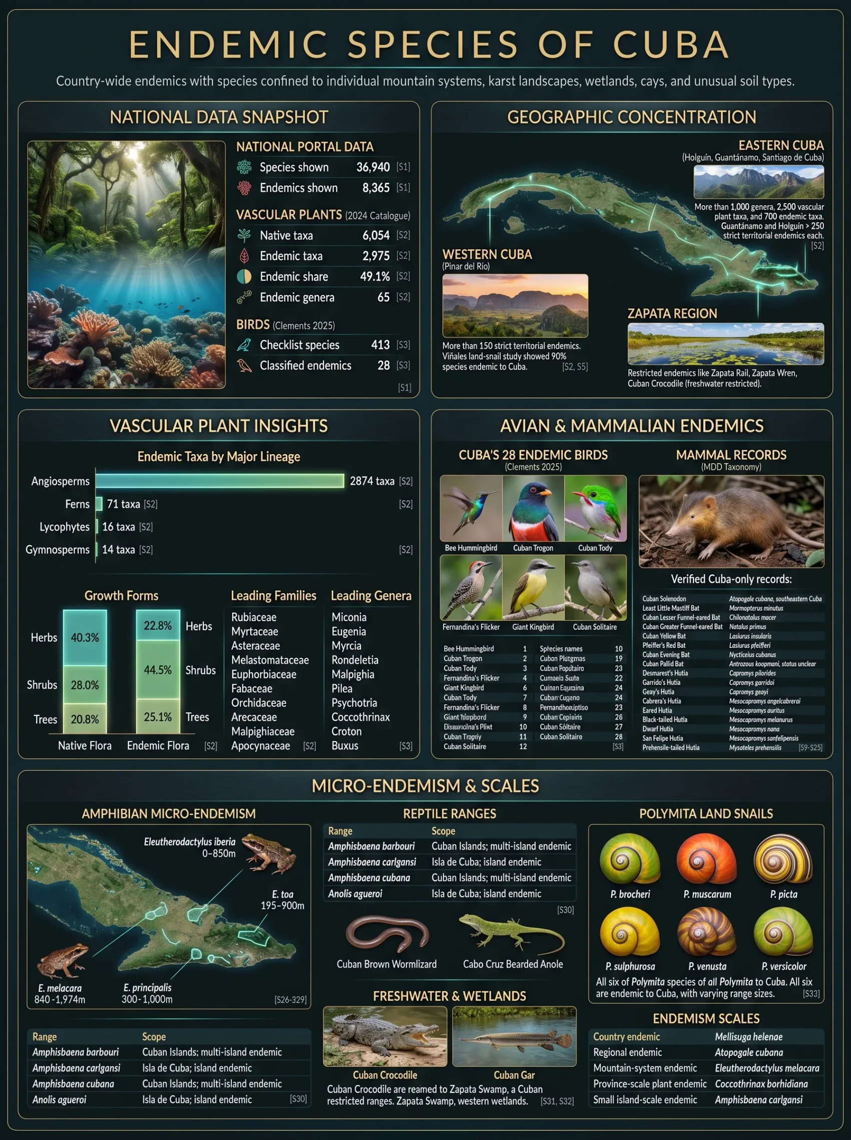 Cuba's endemic species of plants, animals, and marine life showcased in a detailed infographic highlighting local biodiversity.