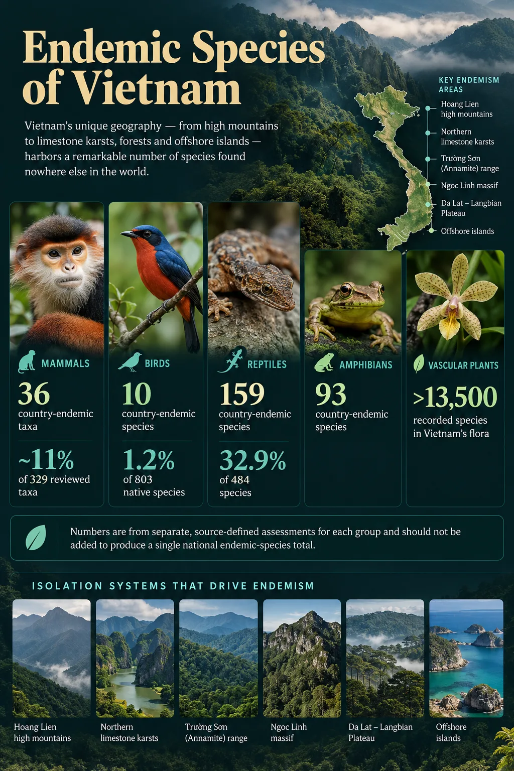 Vietnam hosts numerous endemic species, including birds, mammals, and plants found only in its unique ecosystems.